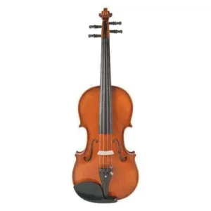 135 Juzek Professional Violin with Case