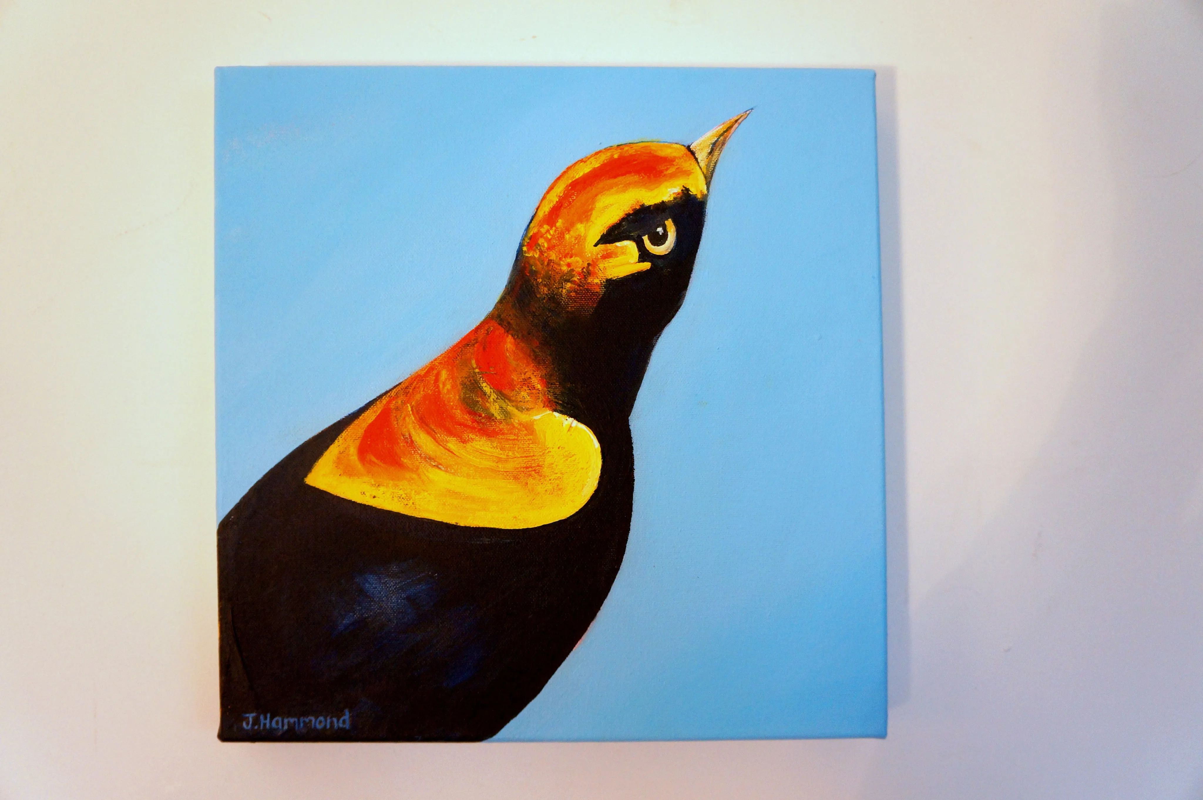 An Eyeful - Bird Portrait Painting