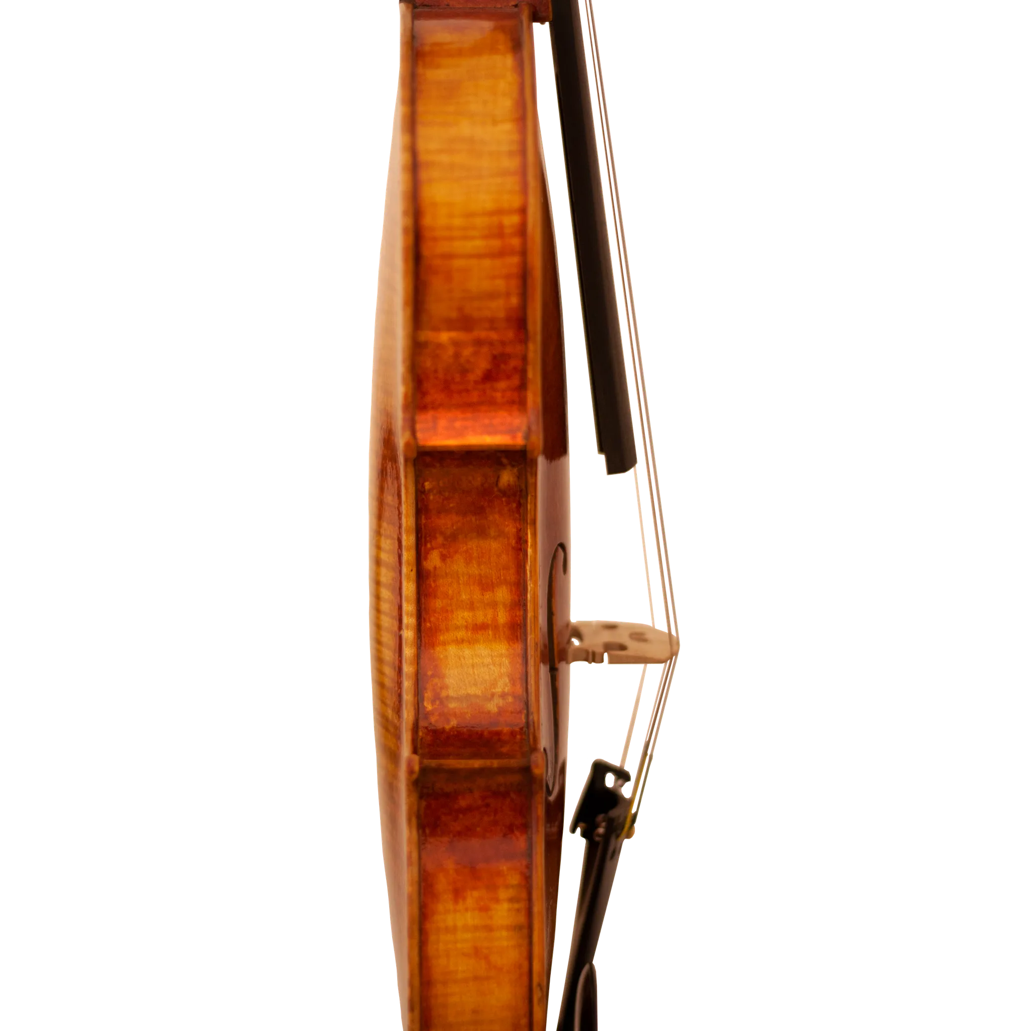 Bench Copy "Duke of Cambridge" Maple Leaf Strings Professional Violin with Case