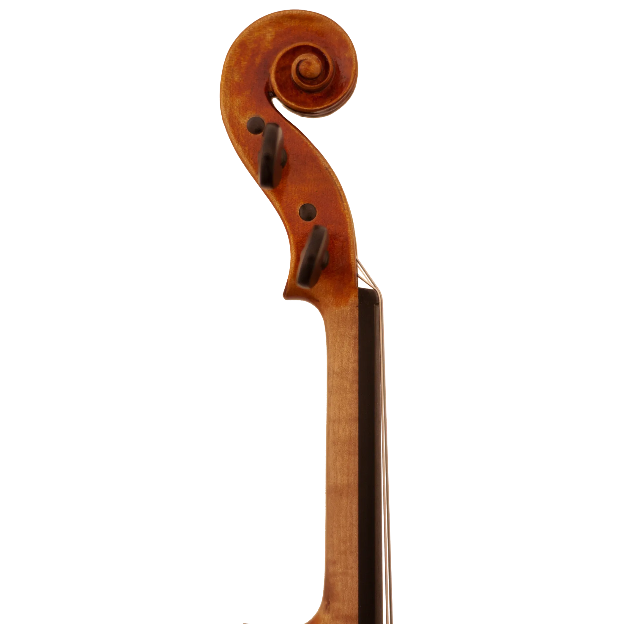 Bench Copy "Duke of Cambridge" Maple Leaf Strings Professional Violin with Case