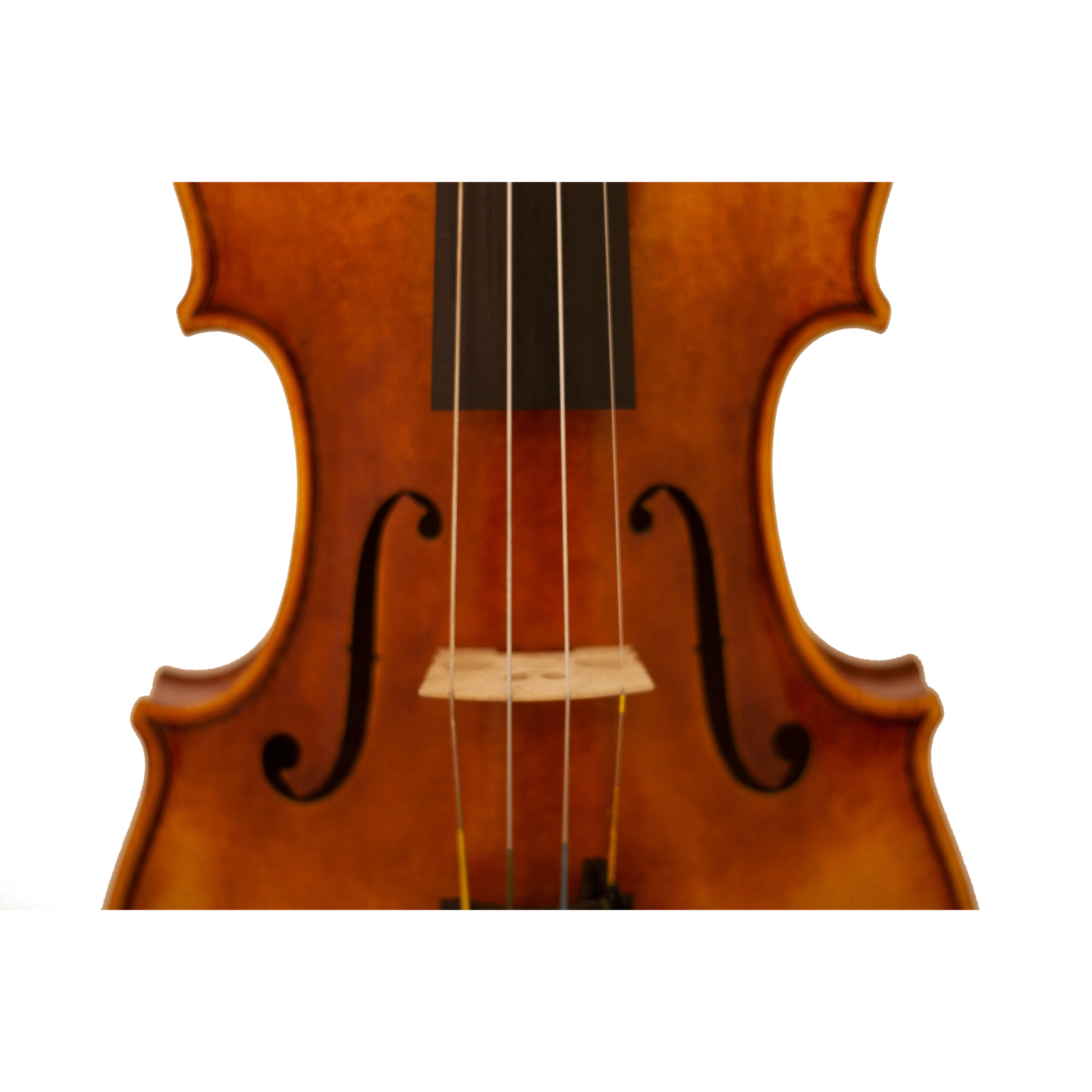 Bench Copy "Duke of Cambridge" Maple Leaf Strings Professional Violin with Case