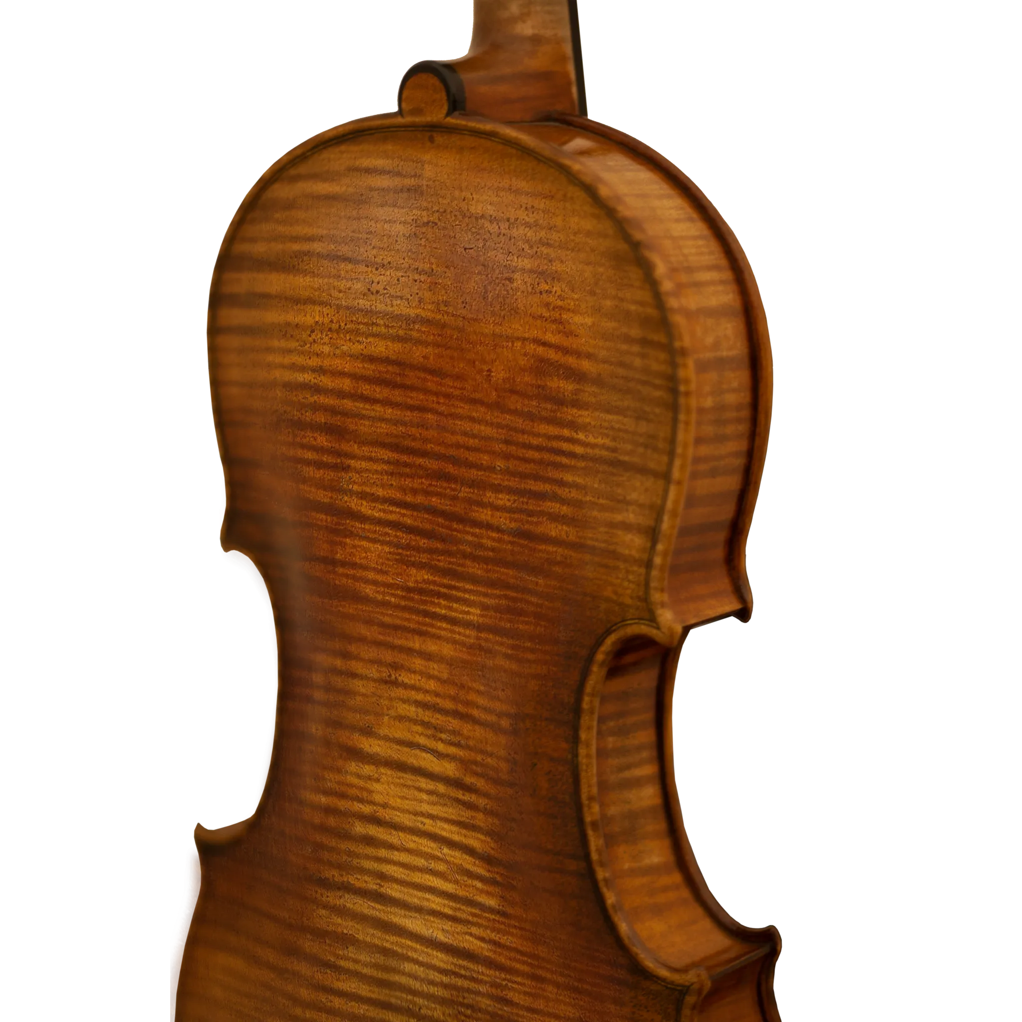 Bench Copy "Haddock" Maple Leaf Strings Professional Violin with Case