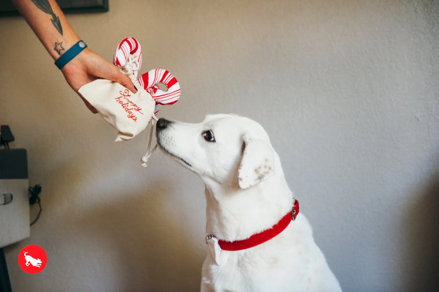 Cheerful Candy Canes Plush Toy
