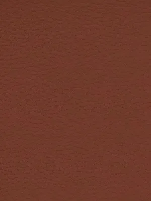 CINNABAR Premium Auto & Contract Vinyl - Palma Vinyl