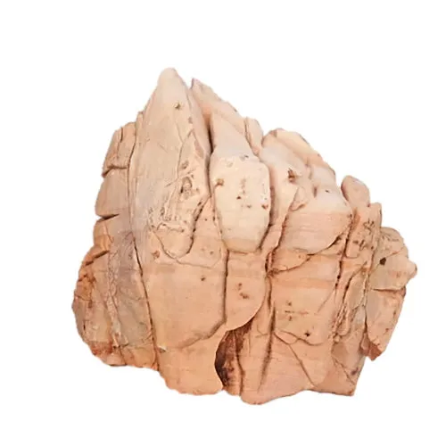 CRUSTED ROCK