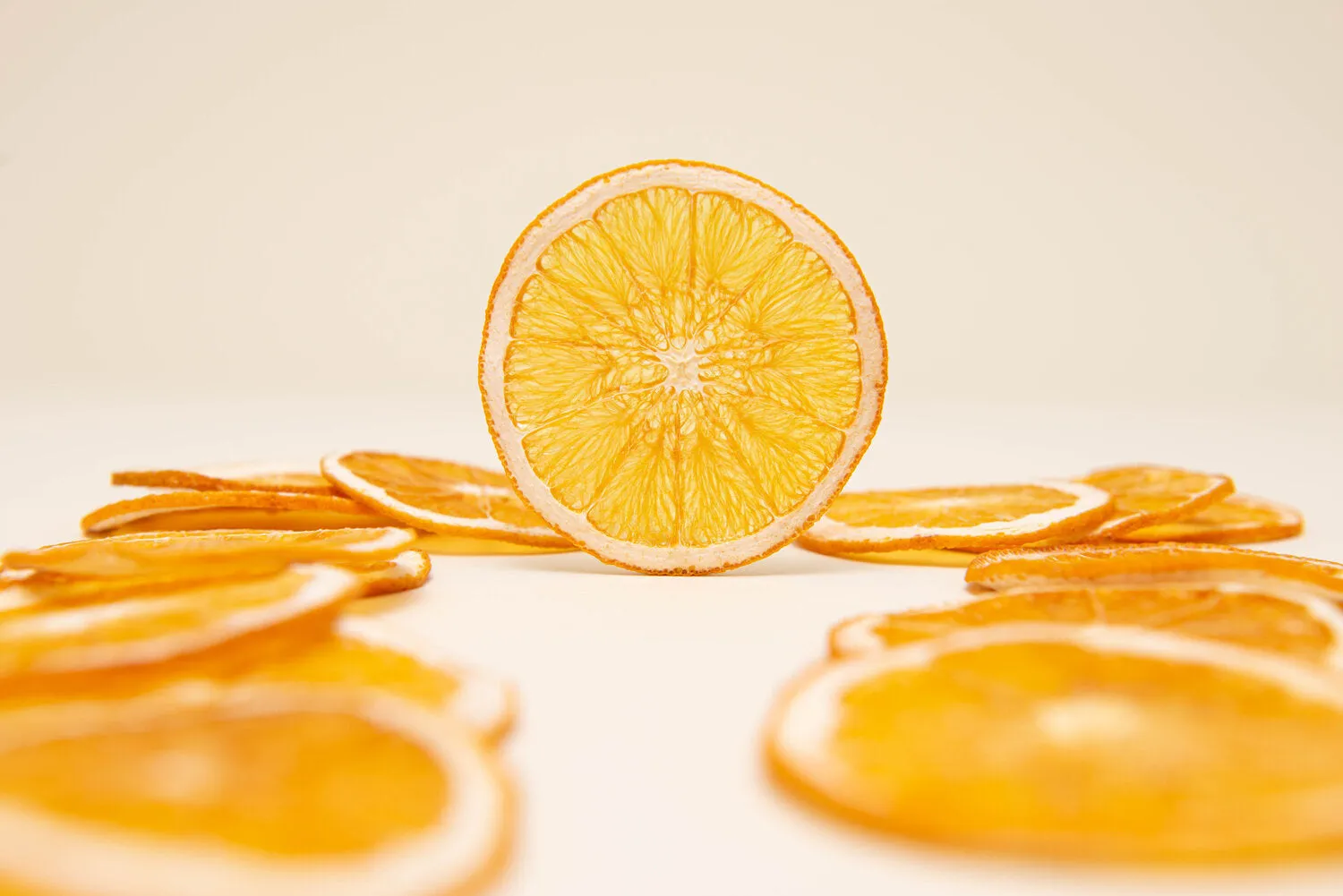 Dehydrated Orange Slice Garnish by Dehy
