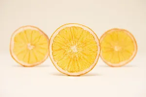 Dehydrated Orange Slice Garnish by Dehy