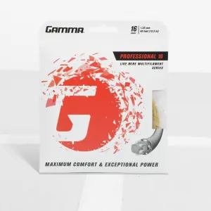 GAMMA Professional