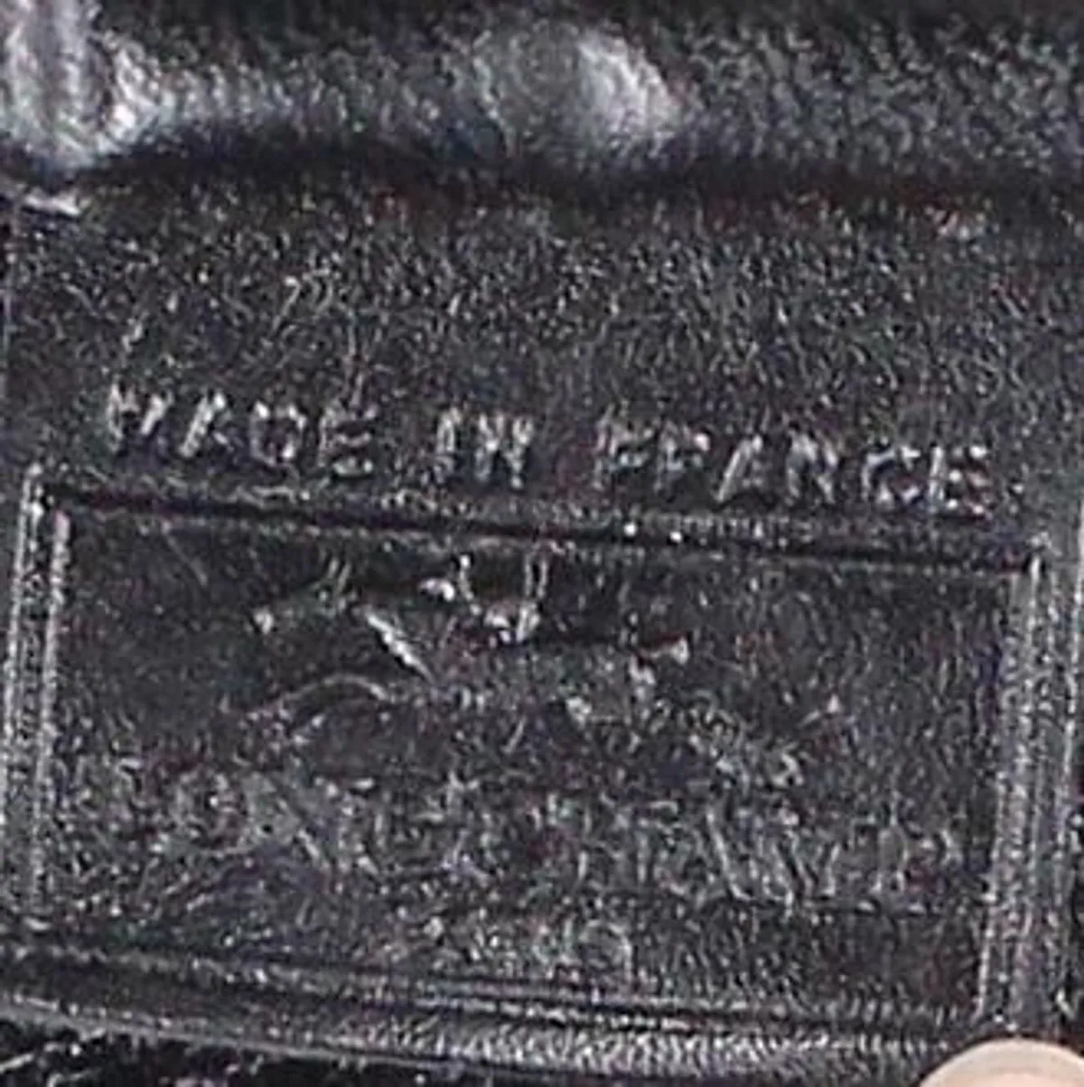 Longchamp Monogram Camera Bag