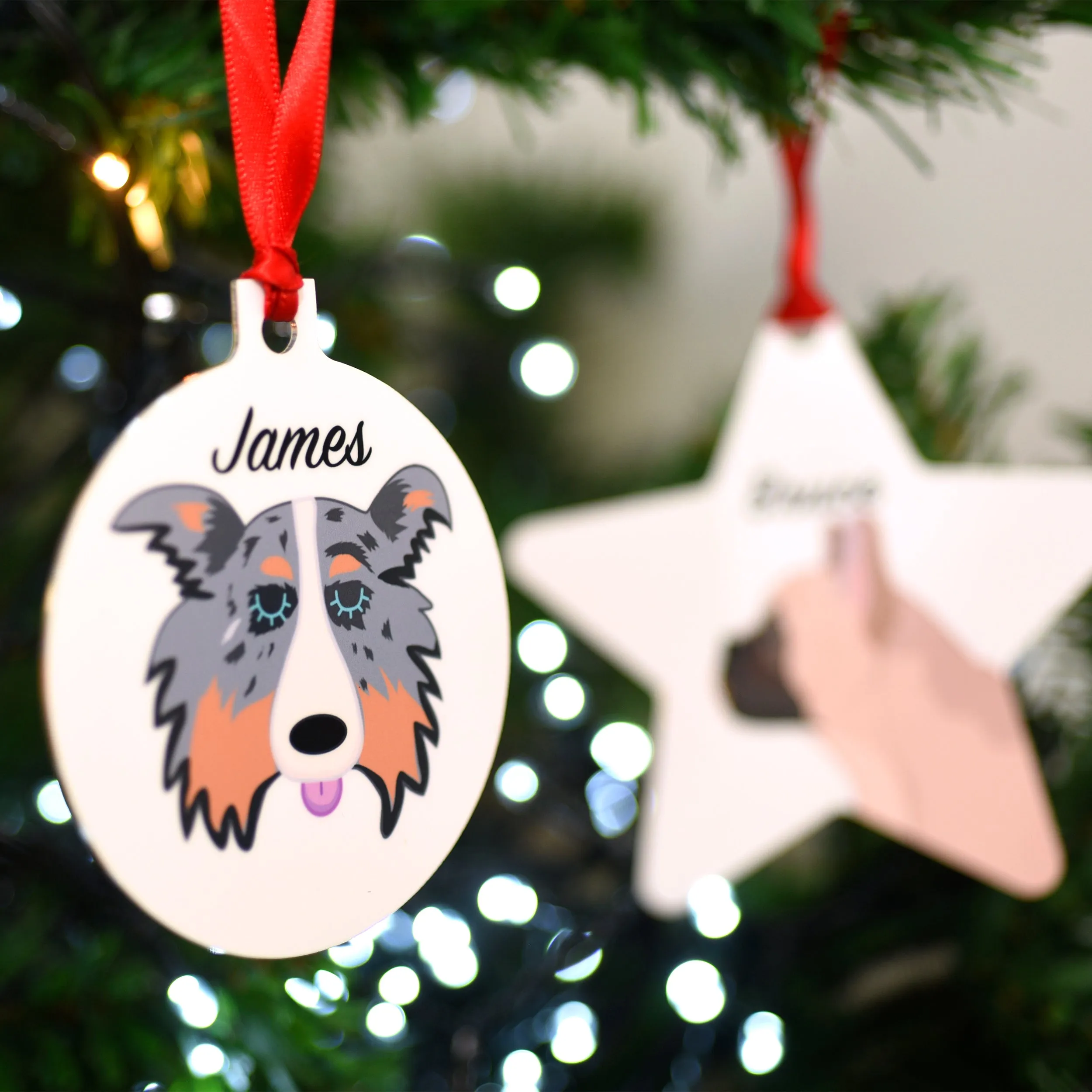 Personalised Dog Christmas Decoration Bold