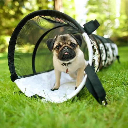 Play Tunnel for Dogs & Cats
