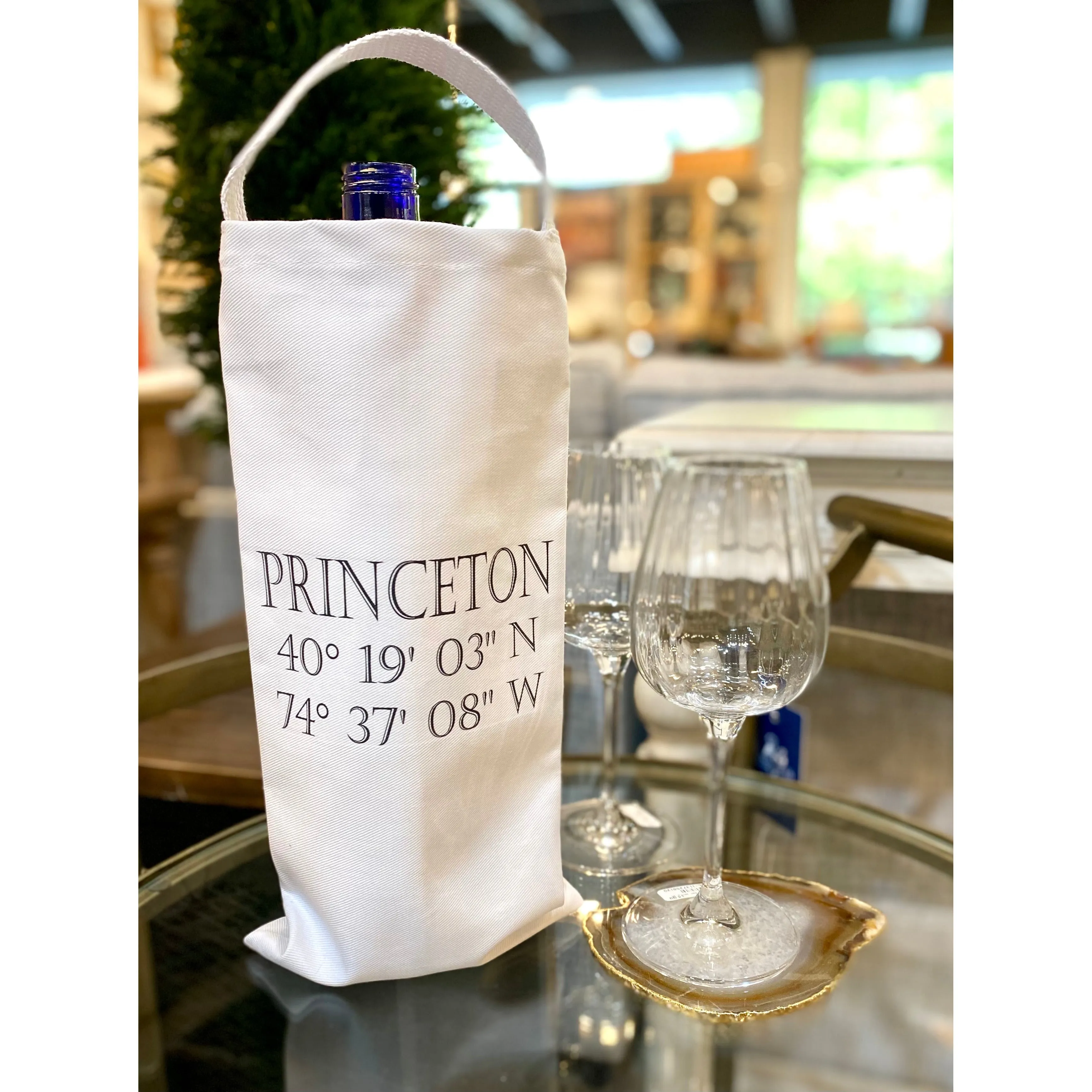 Princeton Coordinates Gift Tote