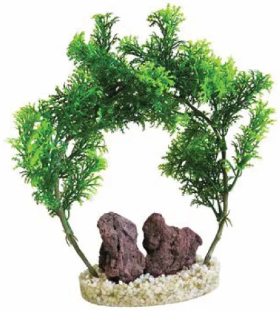 ROCK ARCH