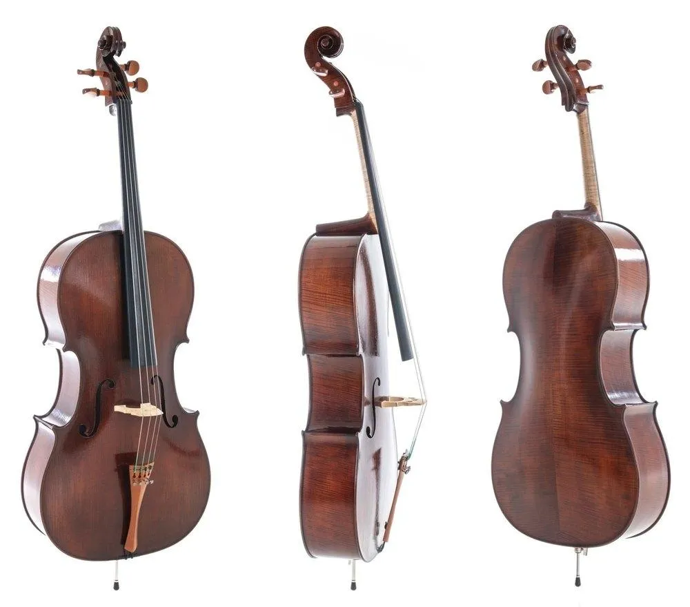 Rubner Gewa Professional Cello with Bag