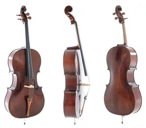 Rubner Gewa Professional Cello with Bag