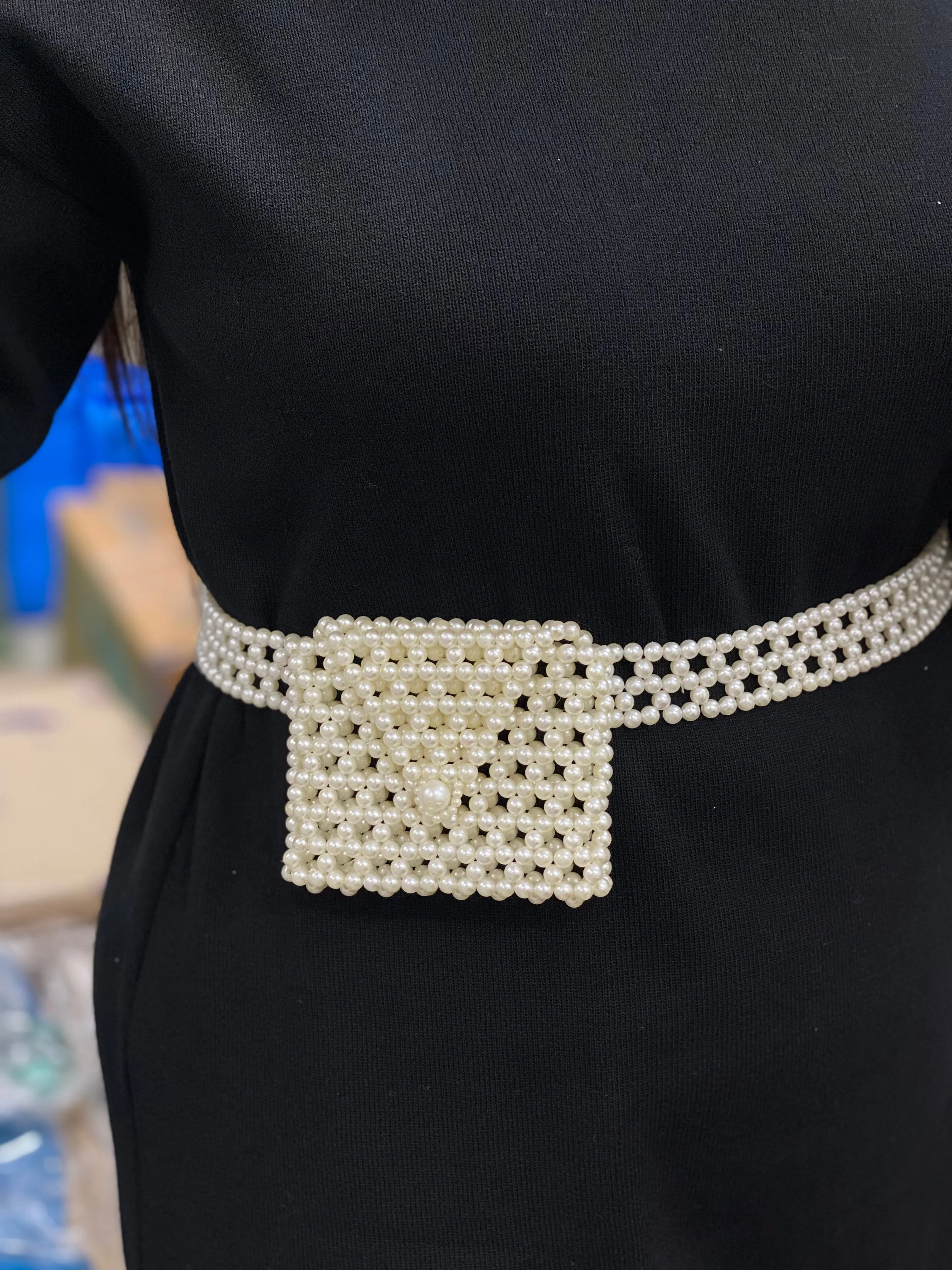 Swiss Waist Bag